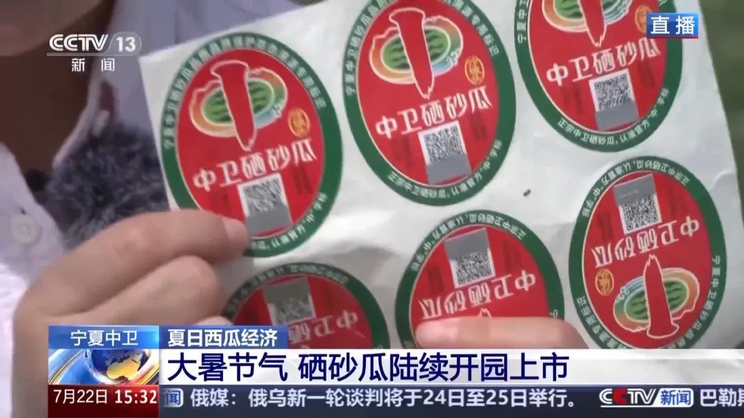 都说“石头缝里的西瓜”甜！手把手教你挑