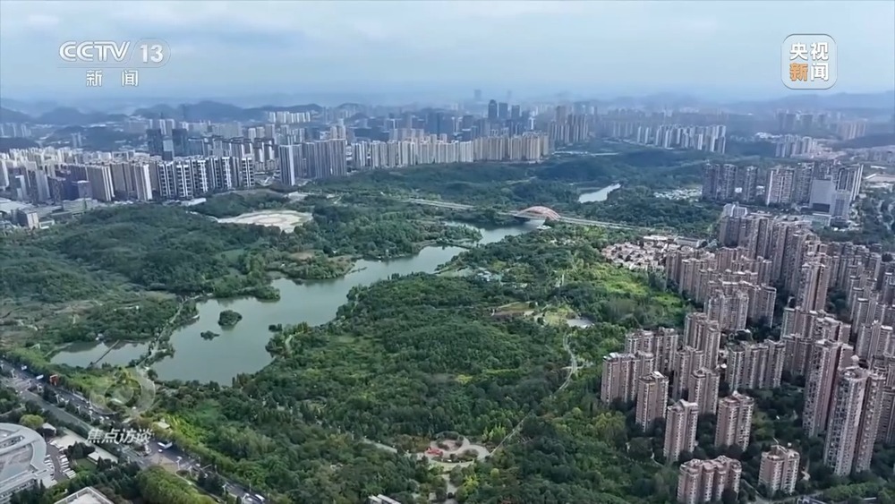 从理念到行动，中国的生态实践为世界提供绿色转型样本