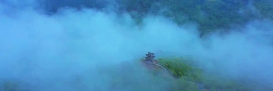 雨丝、云雾、竹林、古刹……这里有北京雨后的宝藏风景