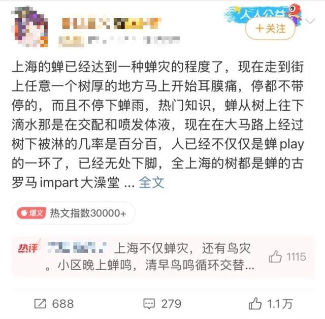 大树下,你淋的不是雨,可能是“尿”! 大树下,你淋的不是雨,可能是“尿”!