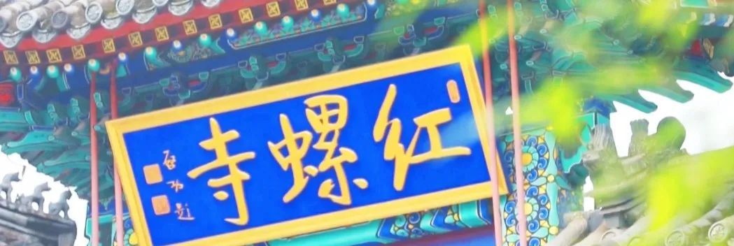 雨丝、云雾、竹林、古刹……这里有北京雨后的宝藏风景