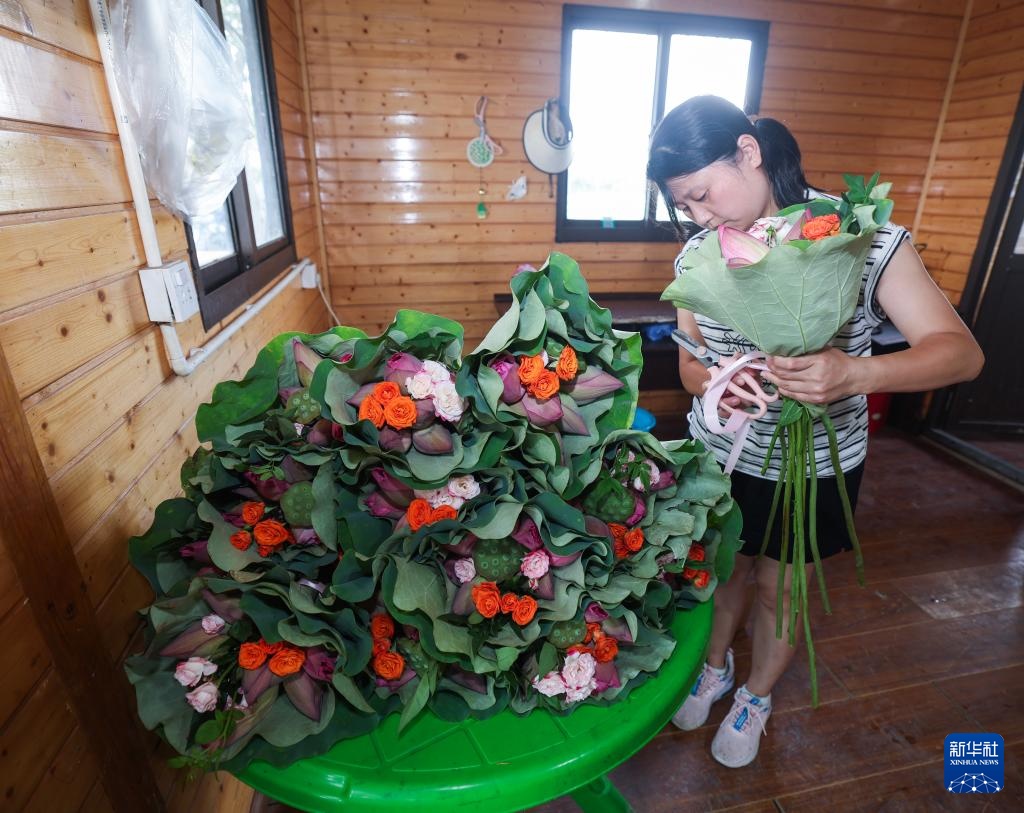 浙江海宁:山海协作“荷”力绘就共富新图景 浙江海宁:山海协作“荷”力绘就共富新图景