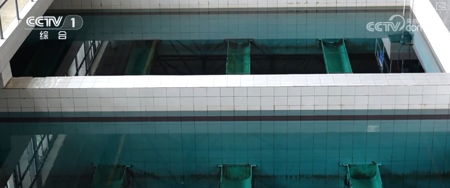 细致服务应对“烤”验！多措并举保障迎峰度夏 为百姓撑起清凉绿洲