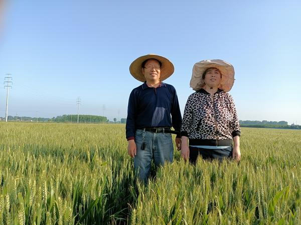 这个教授在客厅搓麦子