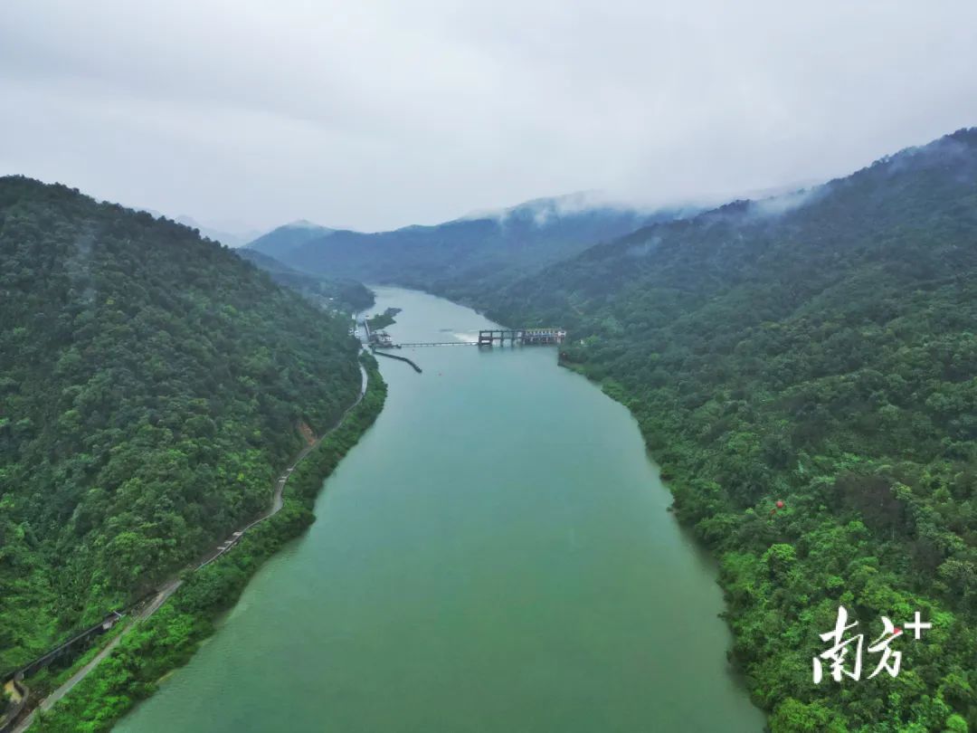 总投资135亿元！广东为什么要建黄茅峡水库？