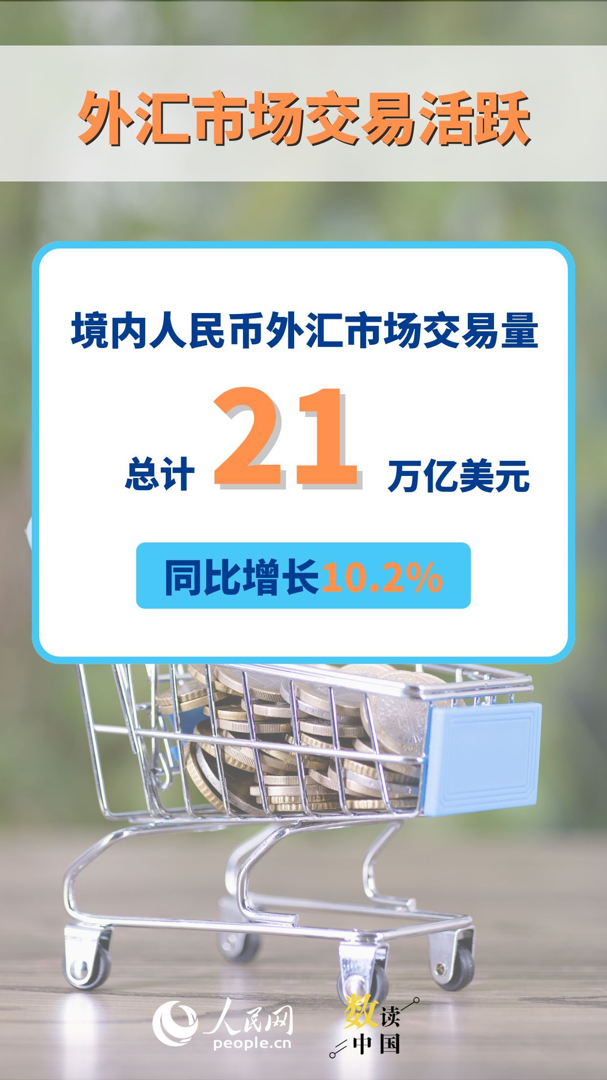 上半年我国外汇市场运行总体平稳