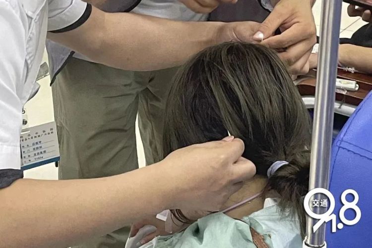 杭州深夜，他们集体被“袭击”！紧急送医……确认是马蜂蜇伤