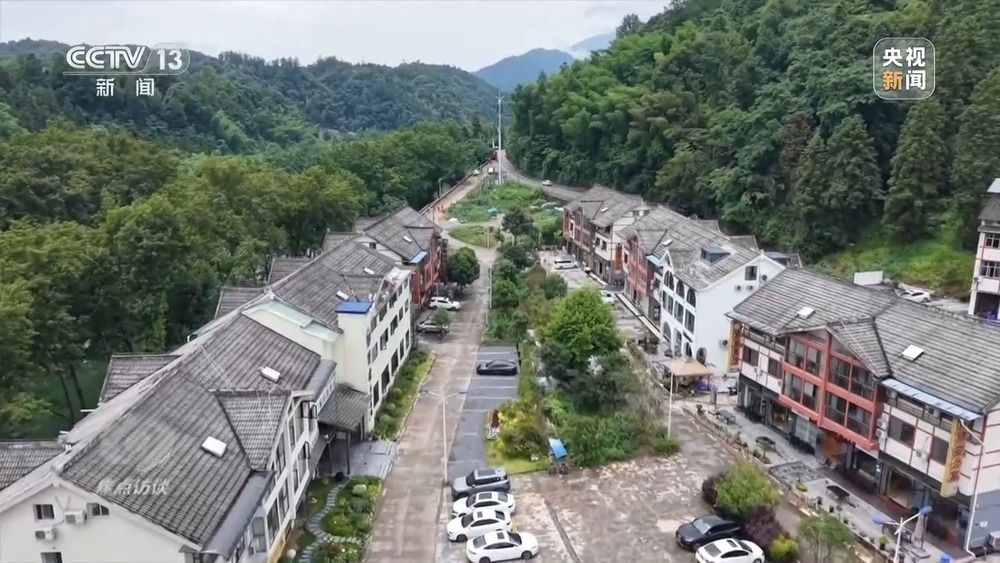 从理念到行动，中国的生态实践为世界提供绿色转型样本