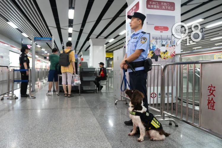 杭州地铁突然出现昂首挺胸的警犬......“并非傲娇，是专注！”