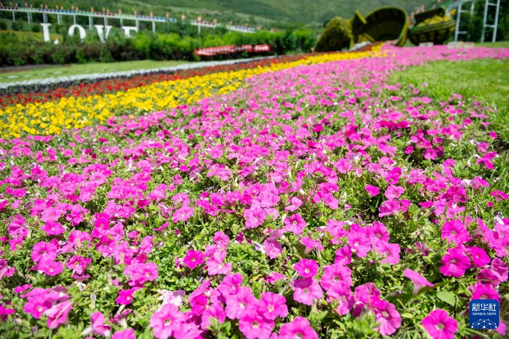 活力中国调研行丨青海西宁大通县边麻沟：农文旅融合打造幸福乡村