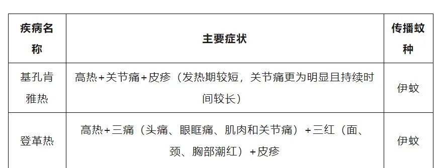 别小瞧“花蚊子”！它传播的基孔肯雅热，高烧剧痛似受刑
