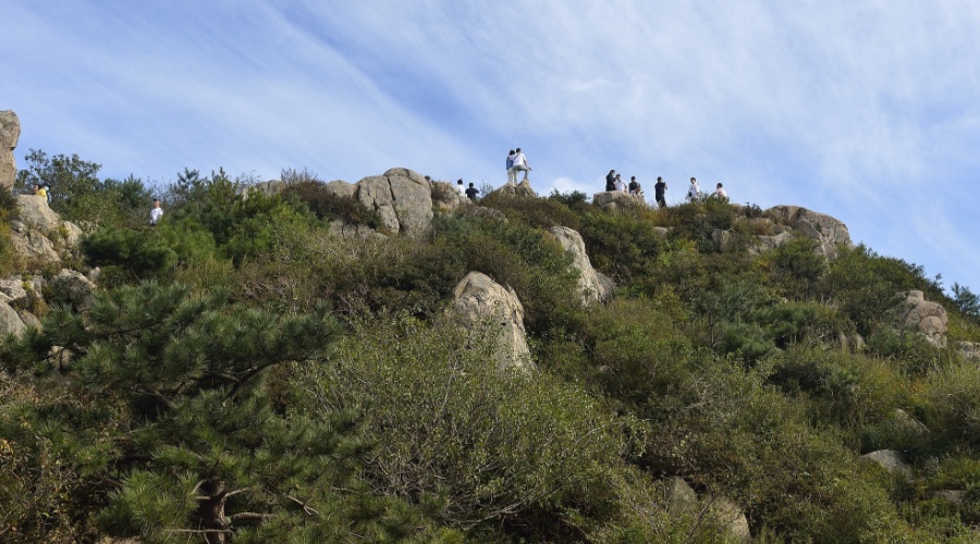登山遇“野猪突袭”！有人摔伤脾破裂、肋骨骨折，把深圳这公园告了…