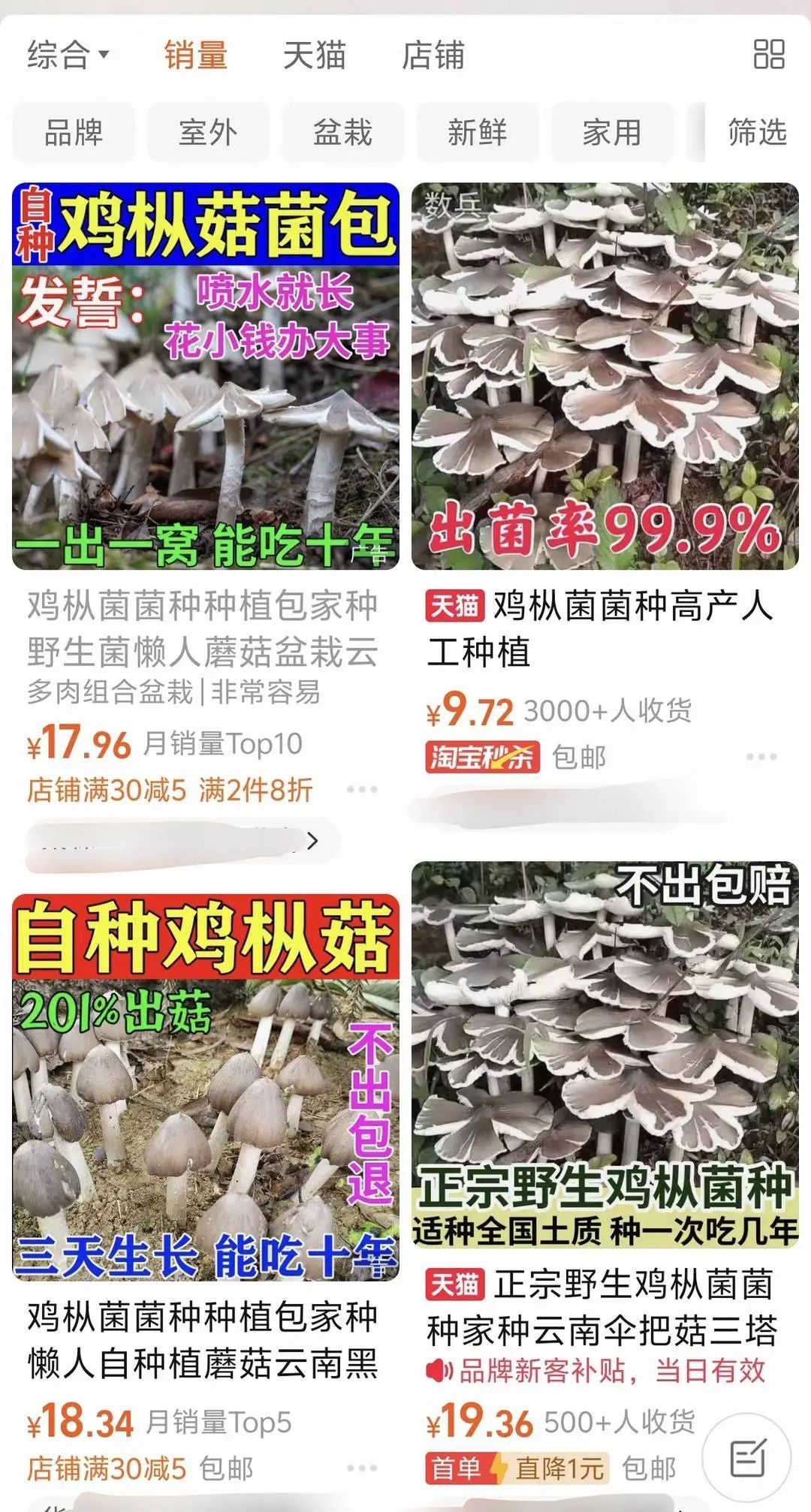 网购菌种长出毒蘑菇！夫妇中毒入院！专家紧急提醒