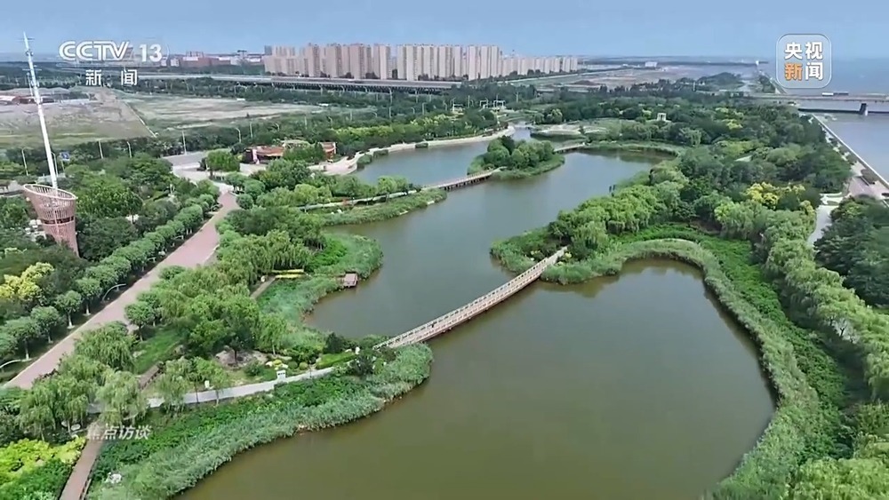 从理念到行动，中国的生态实践为世界提供绿色转型样本