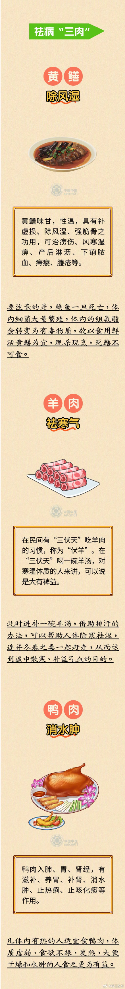 “三伏天”如何高质量养生？超实用饮食指南来了