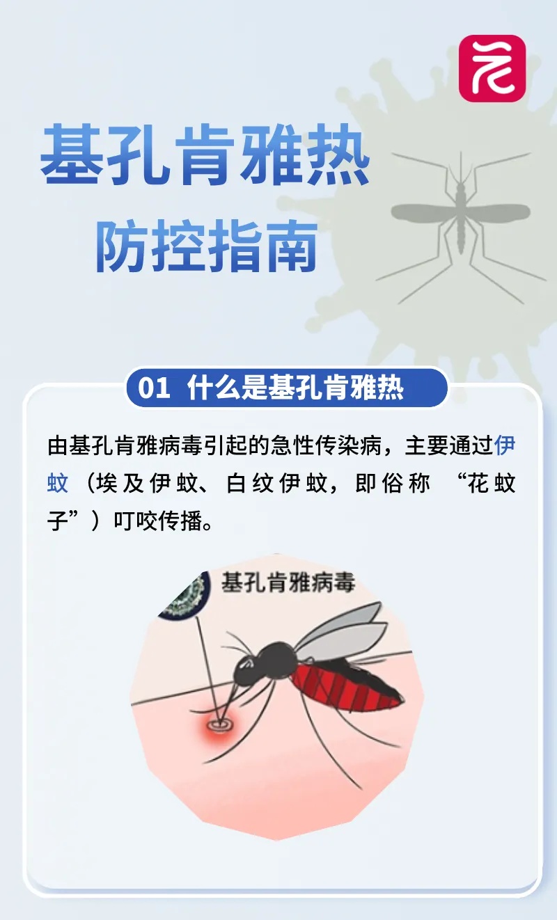 防范基孔肯雅热暴发，世界卫生组织专家发出警报→