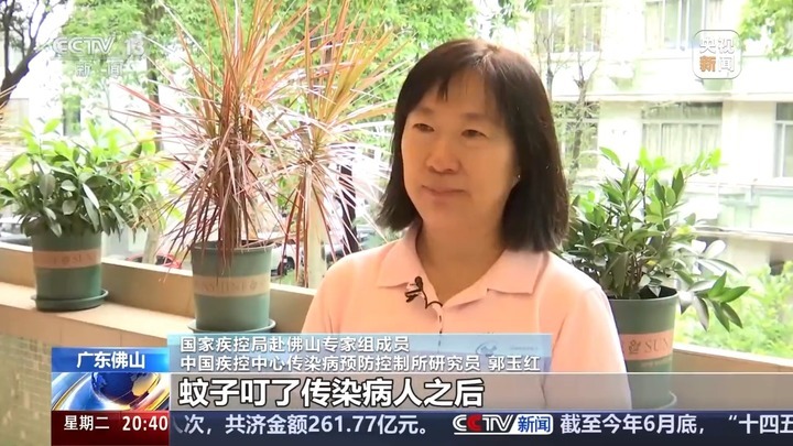 广东基孔肯雅热确诊已超2000例 记者探访定点收治机构 广东基孔肯雅热确诊已超2000例 记者探访定点收治机构