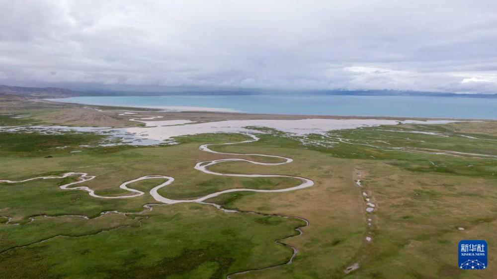 玛旁雍错湿地展现盛夏生命力 玛旁雍错湿地展现盛夏生命力