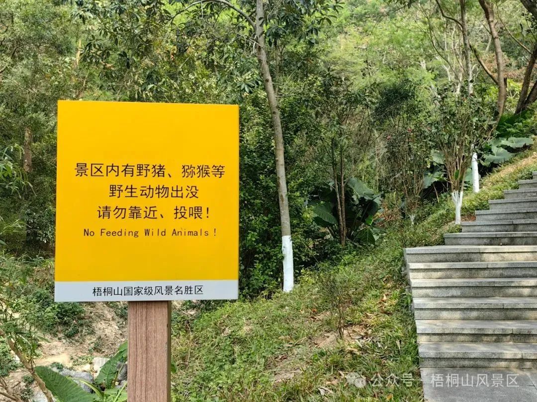 登山遇“野猪突袭”！有人摔伤脾破裂、肋骨骨折，把深圳这公园告了…