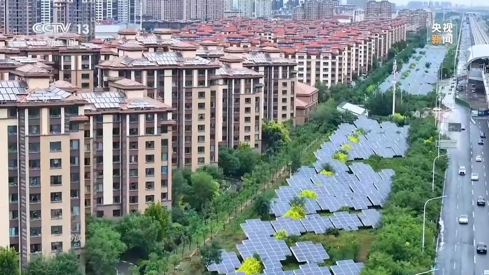 从理念到行动，中国的生态实践为世界提供绿色转型样本