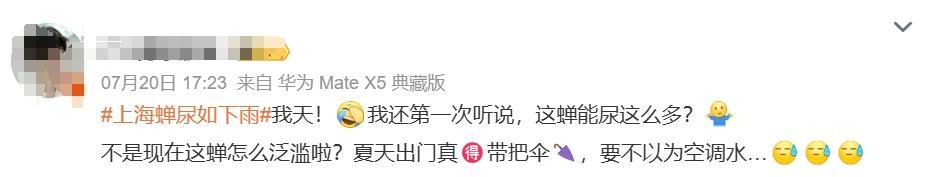 大树下,你淋的不是雨,可能是“尿”! 大树下,你淋的不是雨,可能是“尿”!