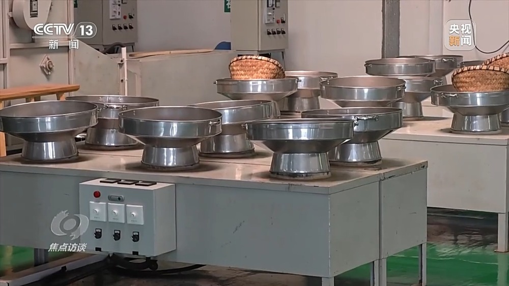 从理念到行动，中国的生态实践为世界提供绿色转型样本