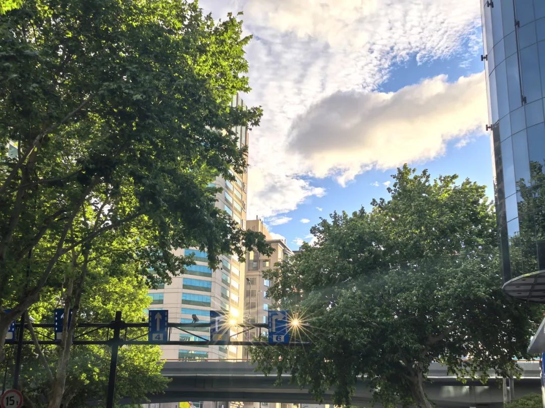 “闷热”杀回！浙江今明高温亮相，局地10级雷雨大风