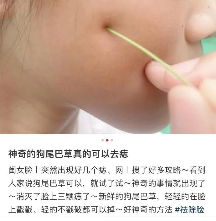 用狗尾巴草点痣？有癌变风险！