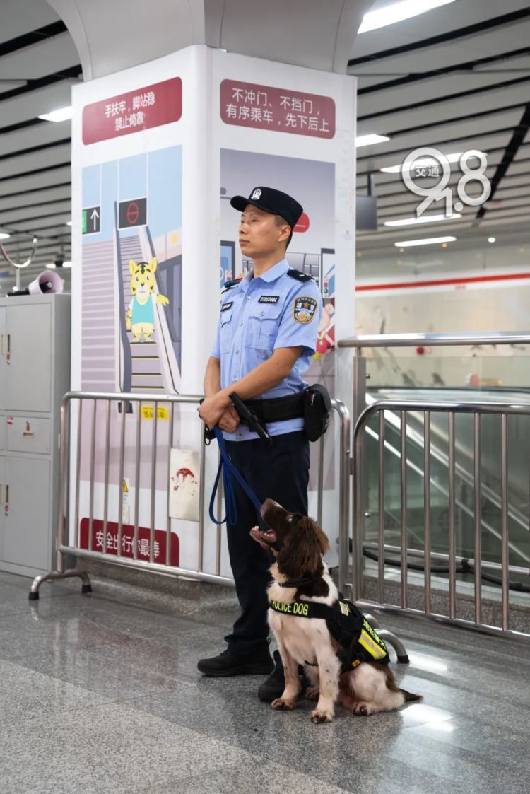 杭州地铁突然出现昂首挺胸的警犬......“并非傲娇，是专注！”