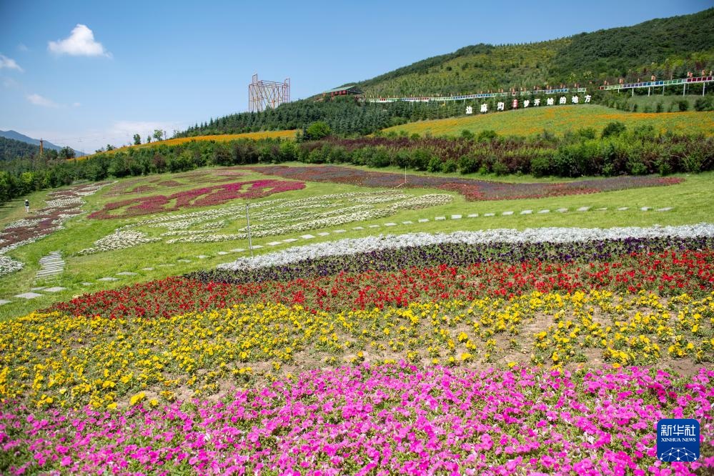 活力中国调研行丨青海西宁大通县边麻沟：农文旅融合打造幸福乡村