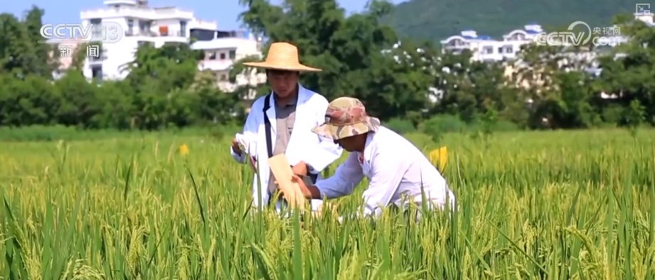 封关不是封岛，更便捷！海南自贸港开放力度更大、产业体系更优 | 政策解读↓