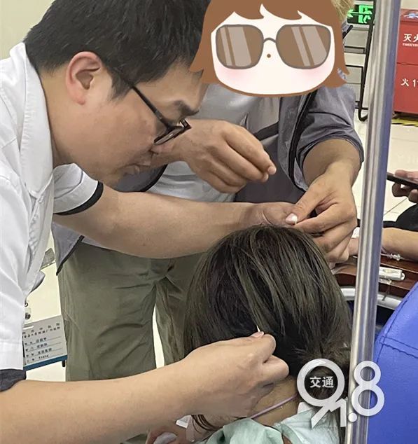 杭州深夜，他们集体被“袭击”！紧急送医……确认是马蜂蜇伤