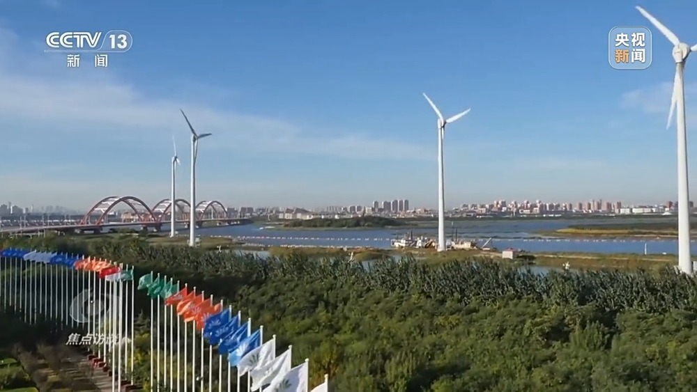 从理念到行动，中国的生态实践为世界提供绿色转型样本