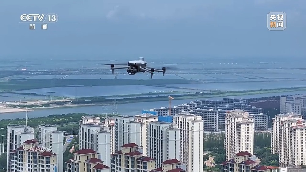 从理念到行动，中国的生态实践为世界提供绿色转型样本