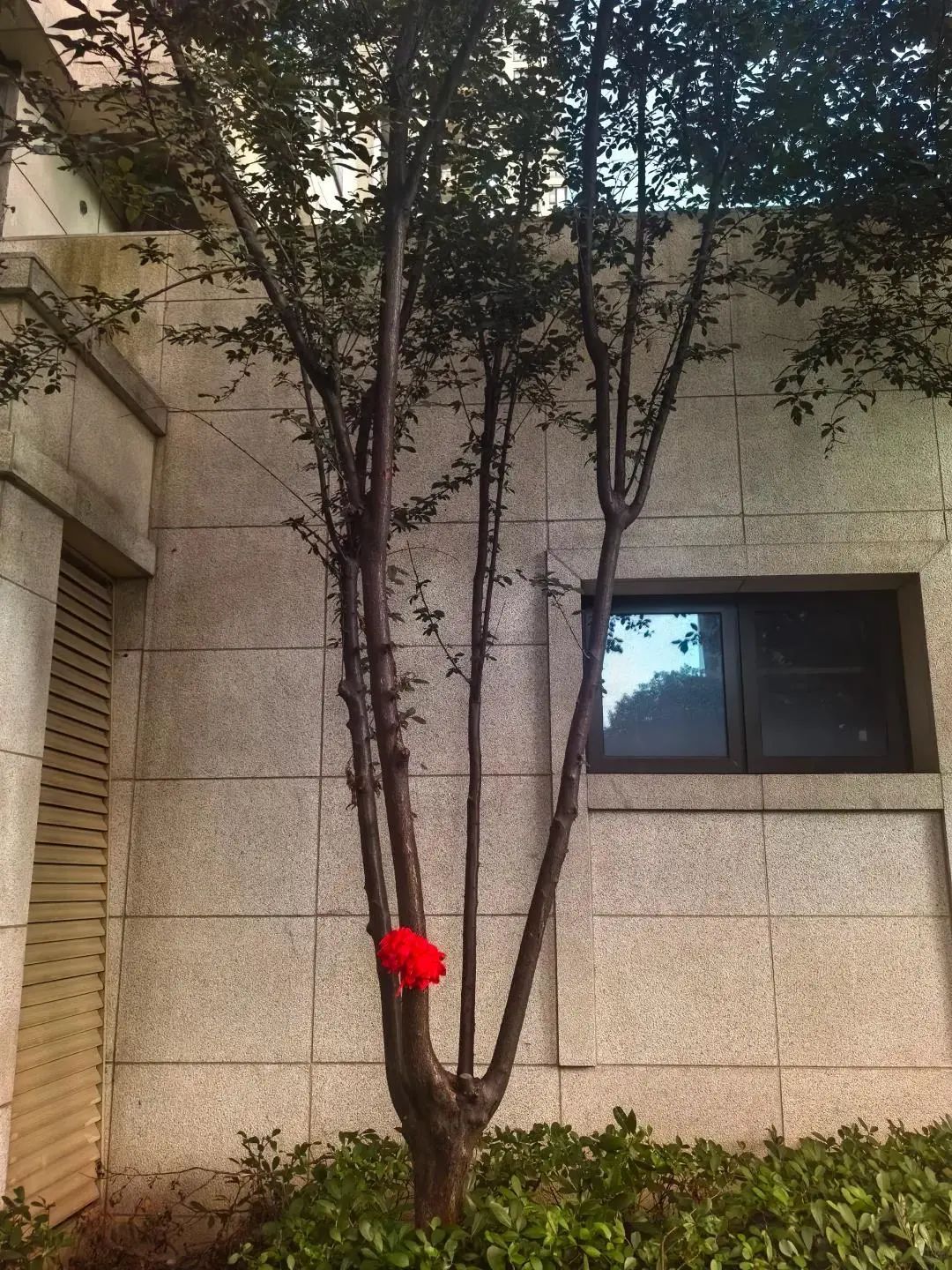 3岁男童18楼坠下奇迹生还，家长回应