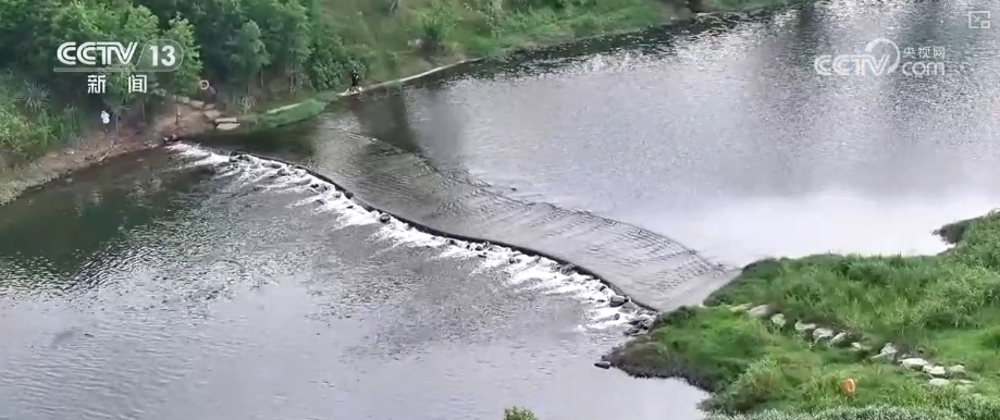 “七下八上”期间区域性阶段性旱涝明显 | 如何精准应对？一文了解↓