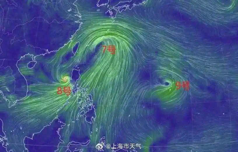 三个台风扎堆！今年第9号台风“罗莎”生成！