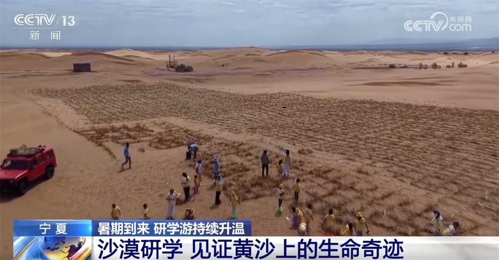 探秘雨林、寻踪国宝、见证奇迹……研学游持续升温点亮“暑期经济” 探秘雨林、寻踪国宝、见证奇迹……研学游持续升温点亮“暑期经济”