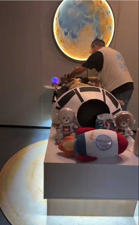 狗狗被宠物店放在烘干箱一小时活活烤死？涉事门店已歇业，主人：对方曾谎称是中暑