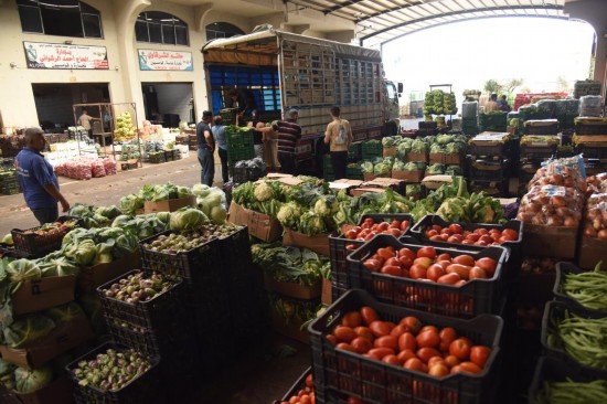研究显示极端天气引发多国食品大幅涨价