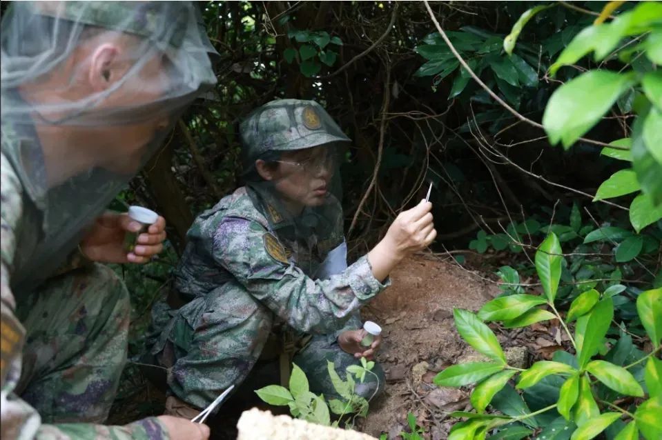 谁懂啊，这张图军功章含量爆表！