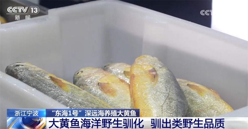 稻渔综合种养、深远海养殖 新产业、新模式打开富民增收“新路径”