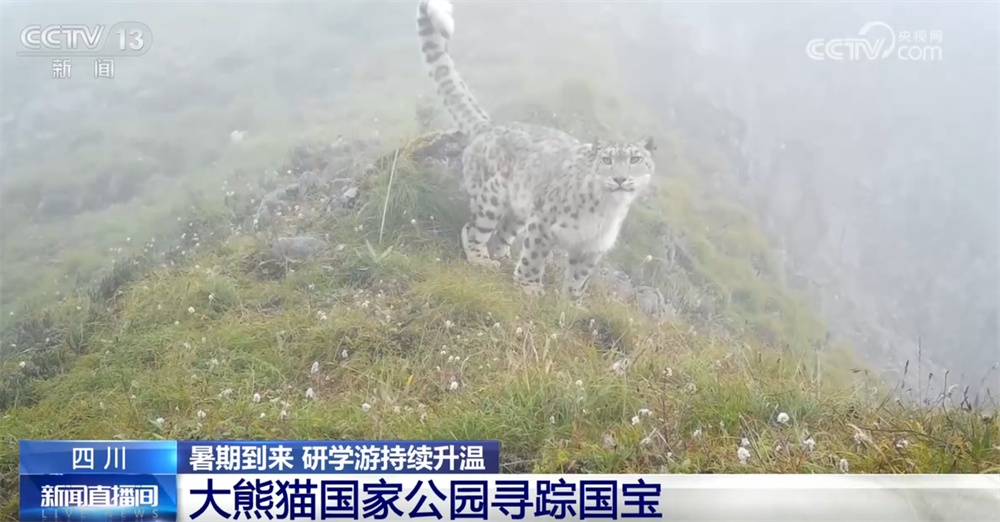 探秘雨林、寻踪国宝、见证奇迹……研学游持续升温点亮“暑期经济” 探秘雨林、寻踪国宝、见证奇迹……研学游持续升温点亮“暑期经济”
