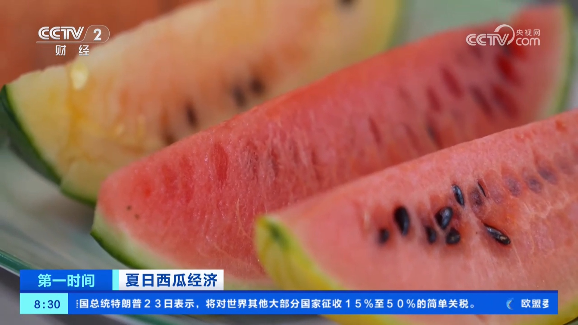 夏日西瓜经济 | 露地西瓜集中上市 产量高、价格好