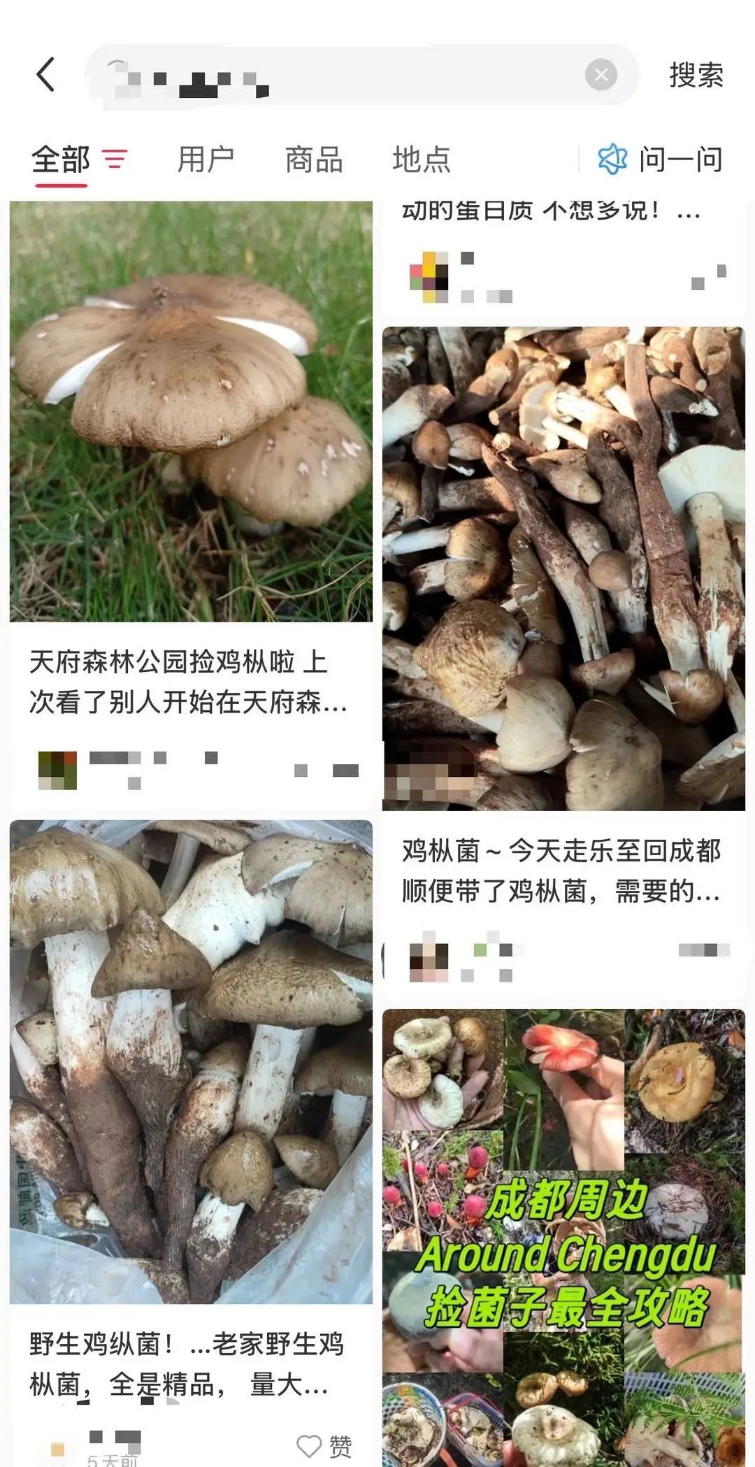 三伏“打野”！成都“鸡枞菌”“野地瓜”地图火了，专家提醒
