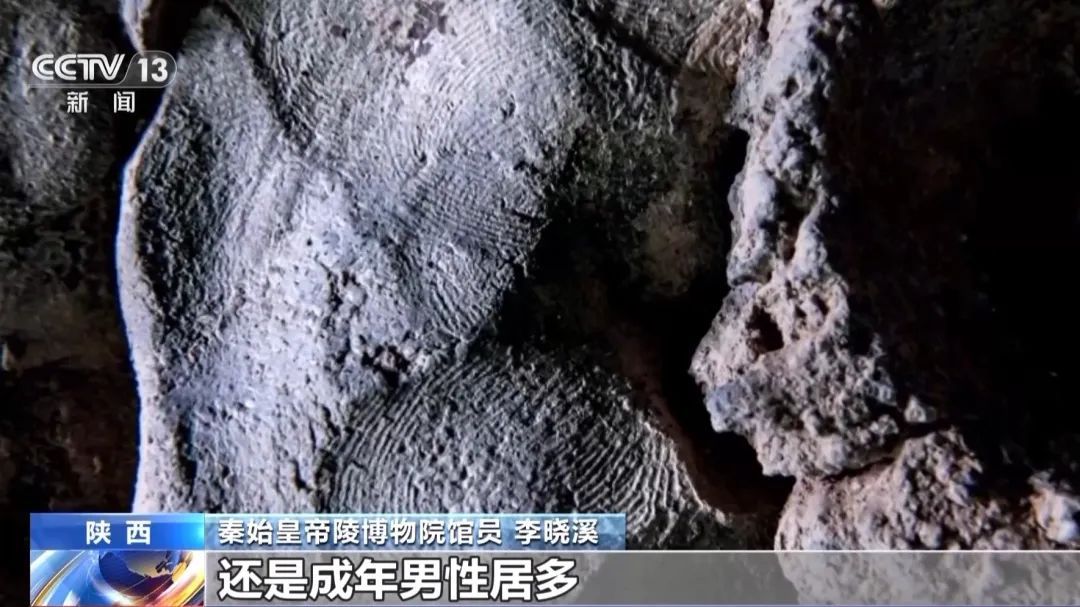 秦始皇兵马俑考古有新发现！