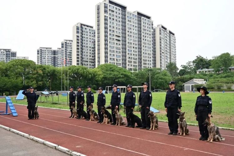 这个大学专业引热议，和狗狗一起上课？网友：毕业早了，真想去！