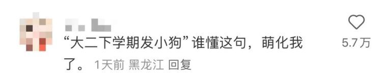 “大几发小狗？”“好像是大二下学期！”一同学发被“警犬技术”专业录取截图引热议
