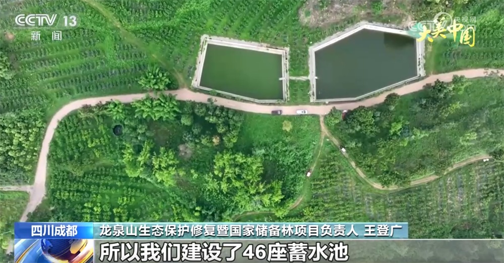 水果飘香、荷花盛放 特色农业绘“丰”景奏响乡村振兴“新乐章”