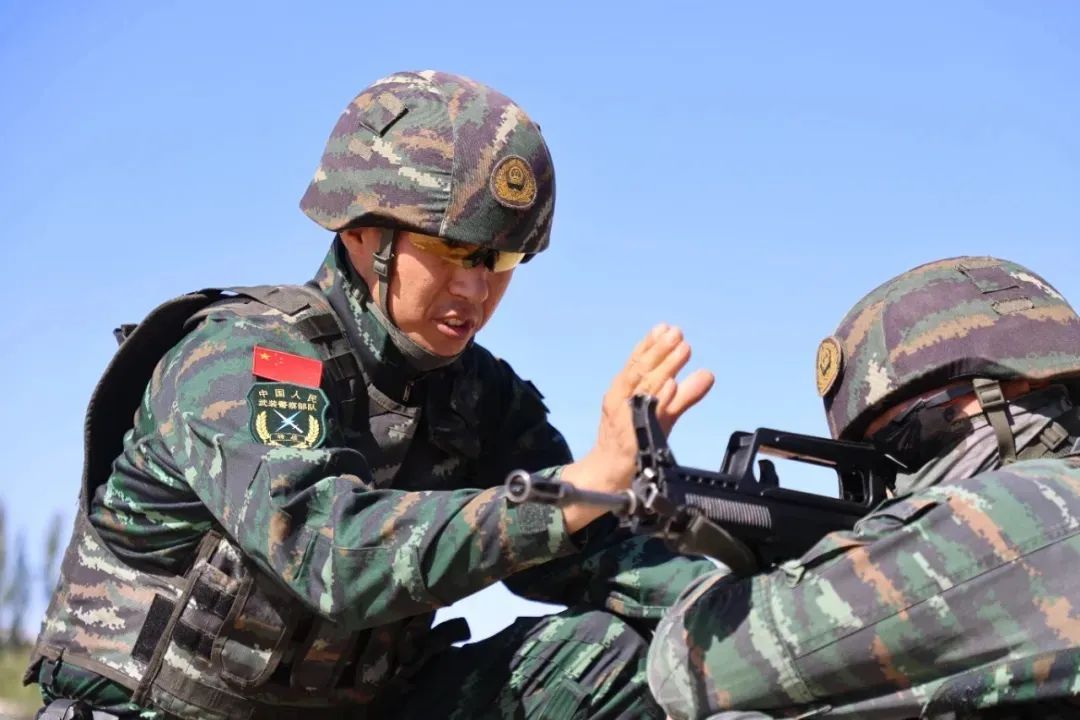 谁懂啊，这张图军功章含量爆表！